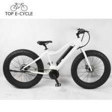 New design OEM 26inch e bicycle 1000W bafang mid drive motor electric bicycle